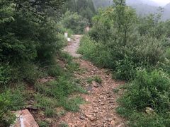-鬼笑石后山停车场