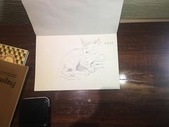-猫的天空之城概念书店(丽江古城饮玉巷店)