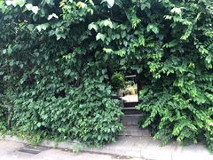 -斯多格书乡(北京大学畅春园店)