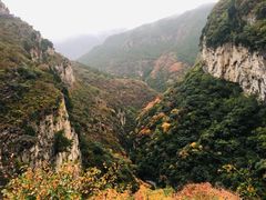 -黄花溪