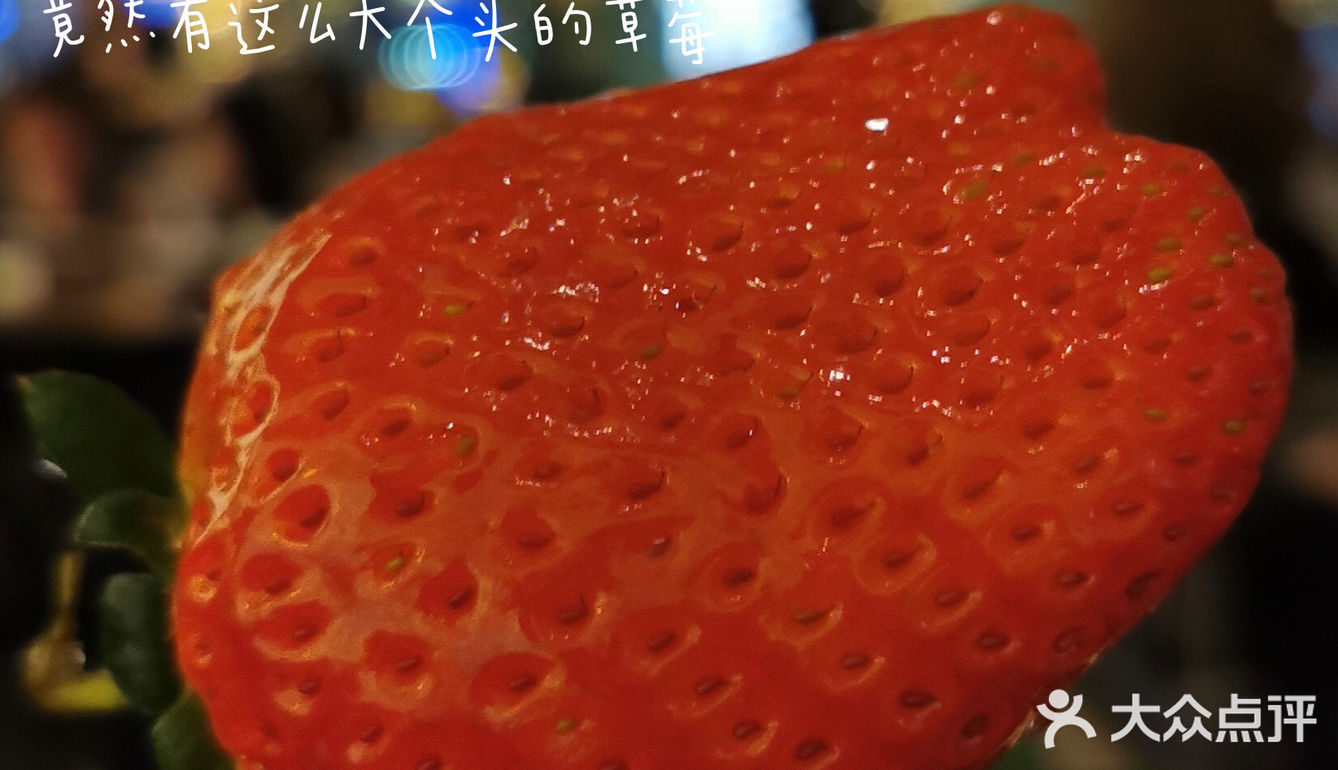 生日周必须跟姐妹来外滩安排几顿大餐 要说最近解锁最满