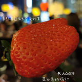 生日周必须跟姐妹来外滩安排几顿大餐 要说最近解锁最满