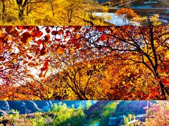 -沉浸北京·团建旅行·密室剧本杀·年会会议轰趴拓展