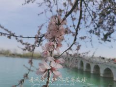 -颐和园