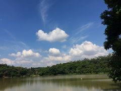 -南宁良凤江国家森林公园