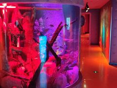 -沈阳海洋探索中心