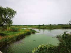 -同里国家湿地公园