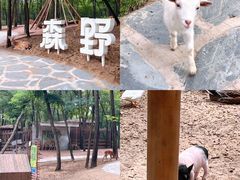 -南戴河国际娱乐中心