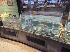 -湘轩·土菜研究院(光大店)