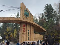 -五营红松林海景区