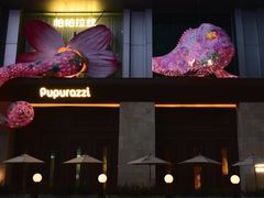 -帕帕拉兹宠物(亚洲旗舰店)