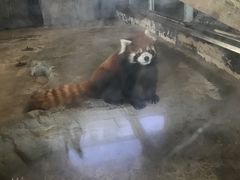 -哈尔滨北方森林动物园