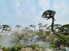 -罗红摄影艺术馆