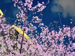 -西北湖绿化广场