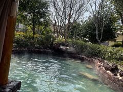 -苏州湾·王焰温泉