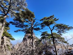 -黄山风景区