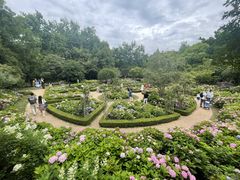 -上海共青森林公园