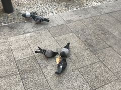 -文艺复兴百货(米兰大教堂广场店)