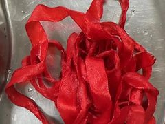 -康成宠物医院24H·CT·核磁共振