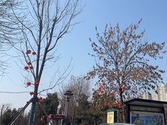 -洛阳龙门站