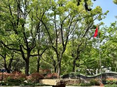 -申粤轩酒楼·三十年粤菜经典(丁香花园店)