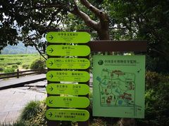 -中国茶叶博物馆(双峰馆区)