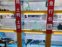-淳安二十八道·新派民间菜·淳鱼馆(阳光路店)