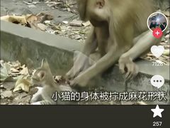 -昆明动物园