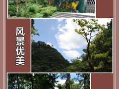 -黔灵山公园
