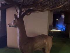 -碧涛阁水世界酒店(万家丽路店)
