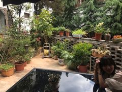 -丽江古城第一观景台
