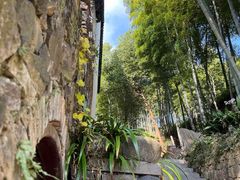 -东明山森林公园