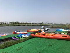 -春花秋色城市公园