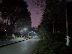 -重庆彩云湖湿地公园
