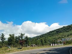 -武陵山森林公园