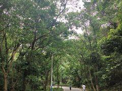 -火炉山森林公园