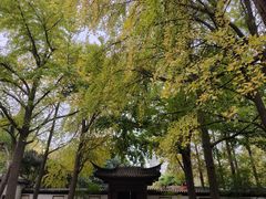 -郑和公园