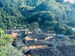 -杨家堂村