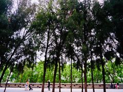 -宝安西湾红树林湿地公园