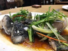 -石岐乳鸽村(桥观坊南四巷店)