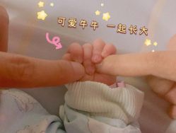 -上海市长宁区妇幼保健院