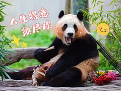 -好好彩啫啫煲·广东小馆(上海七宝领展广场店)
