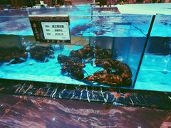 -上和臻品中国菜(花园街店)