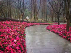 -两江国际影视城