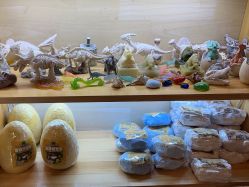 -卡通尼乐园(上海安亭店)