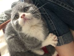 -唯美宠物生活馆(绿地国际生态城店)