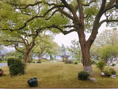 -杭州西湖柳莺里酒店