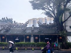 -老妈宫粽球