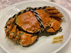 -新光酒家·河豚·海鲜·蟹料理(浦东店)