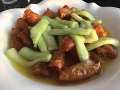 -云中小雅